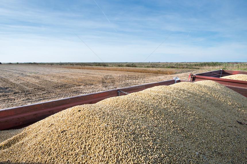 中美峰会，中方先下18万吨大豆的订单就是一个态度。往下就看特朗普怎么回应了。
1