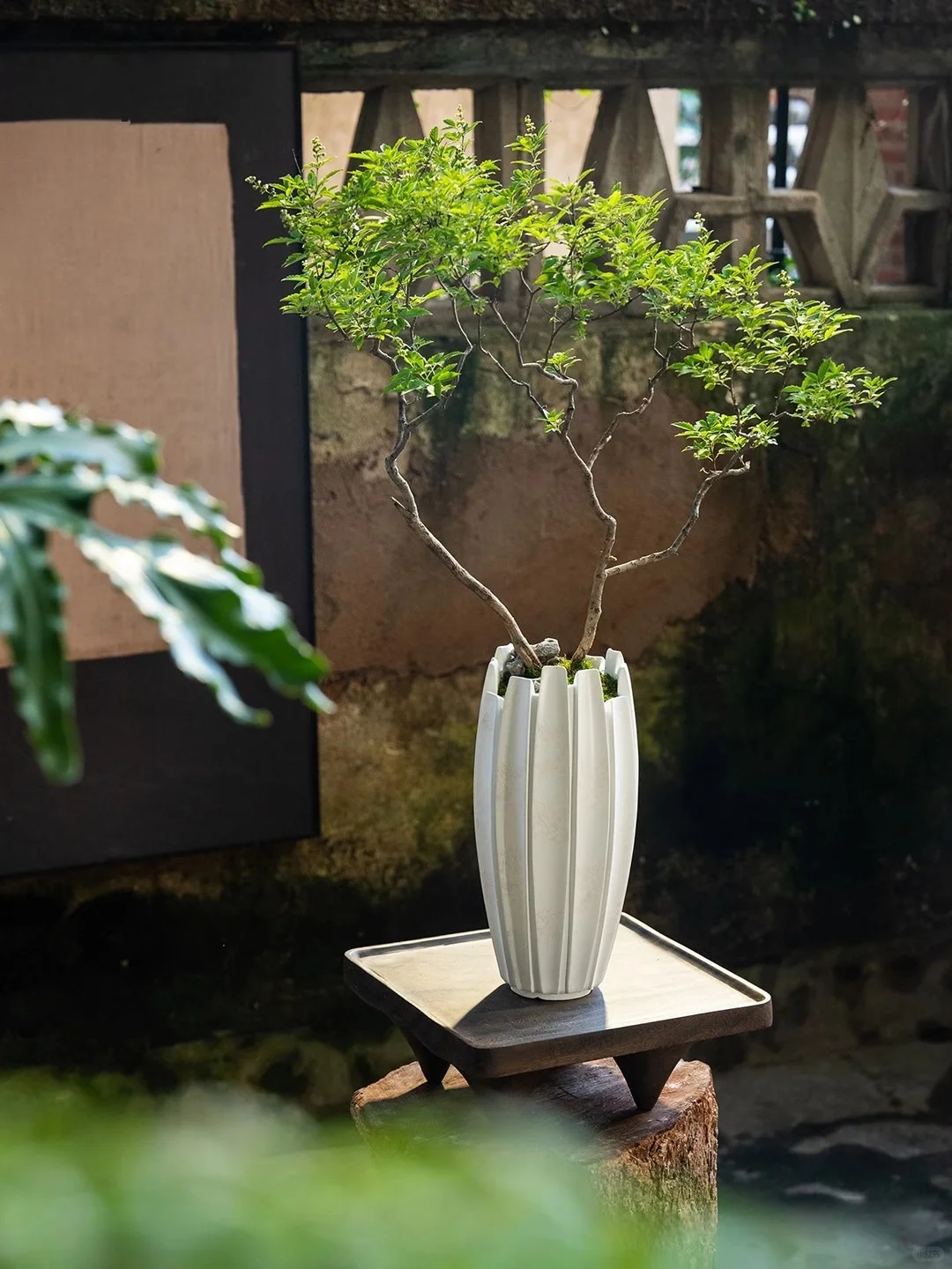 侘寂风落地花盆🌿室内外装饰