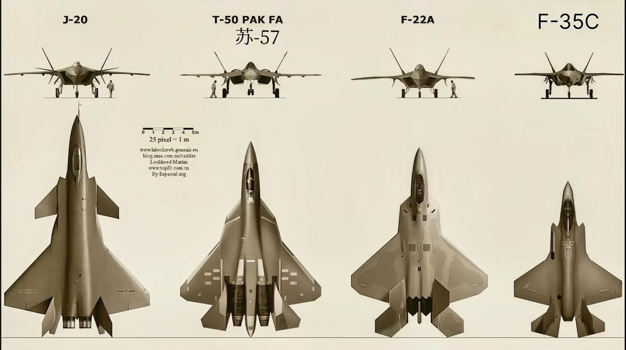 这是中美俄四款第五代战斗机的等比例对比图，从左到右分别是歼-20、苏-57、F-