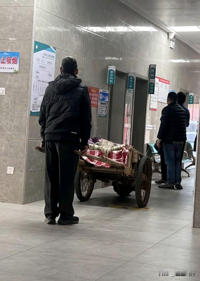 白云苍狗，数不尽的人间疾苦，啥时候教育跟医疗能免费呢？让所有人都能看起病
所有在