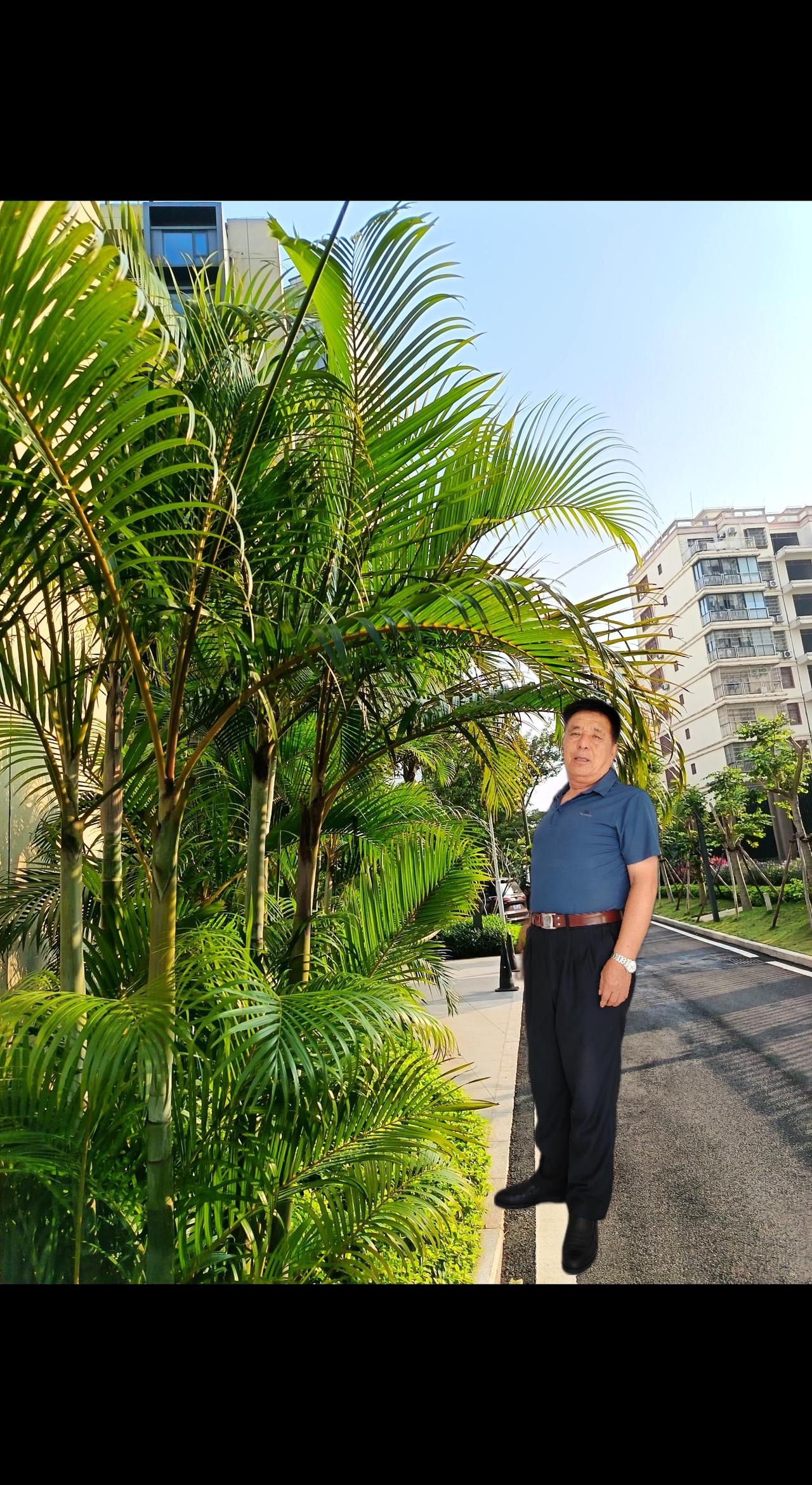 美丽幸的家园。小洋楼，一首，罕山传奇献给大家一一一