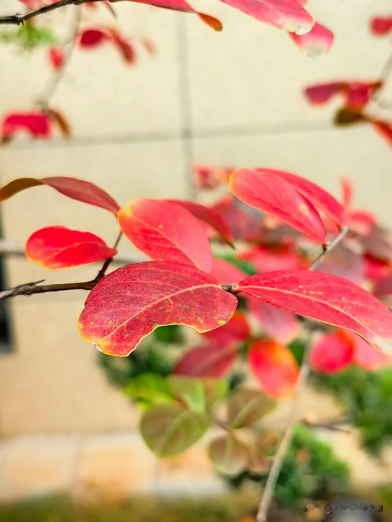 说句实在话，听到中小学要放春秋假，第一反应是：太好了！早该这样了！

春天公园里