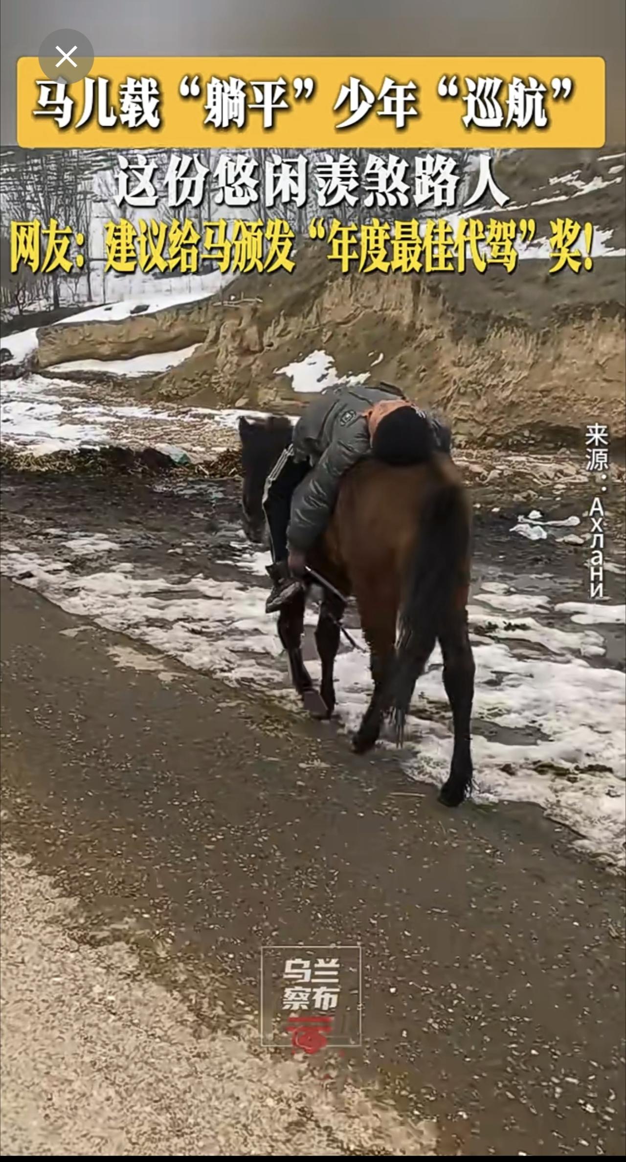 马儿载“躺平”少年“巡航”，这份悠闲羡煞路人！网友：建议给马颁发“年度最佳代驾”
