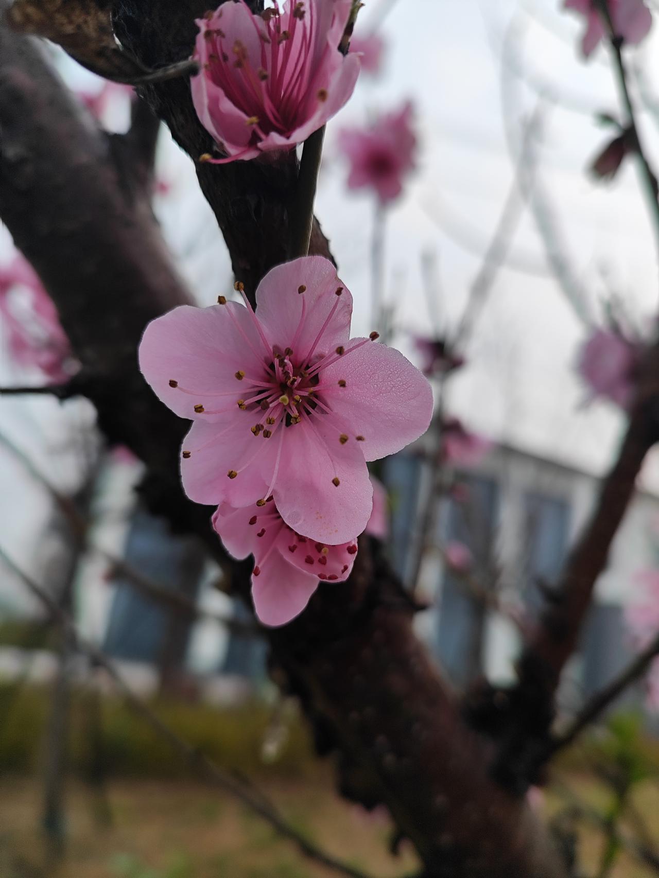 修行的最初应该做什么修行之初，当从“守心”与“笃行”开始。先修一颗平常心，不攀缘