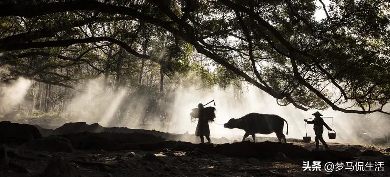 如果不缺钱，你还会工作吗？这问题就像一颗扔进平静湖面的石子，挺有意思。在现实这个