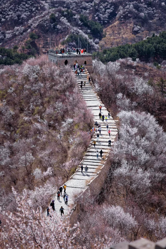 香屯⏺长城山花+峡谷溪流徒步环线全攻略