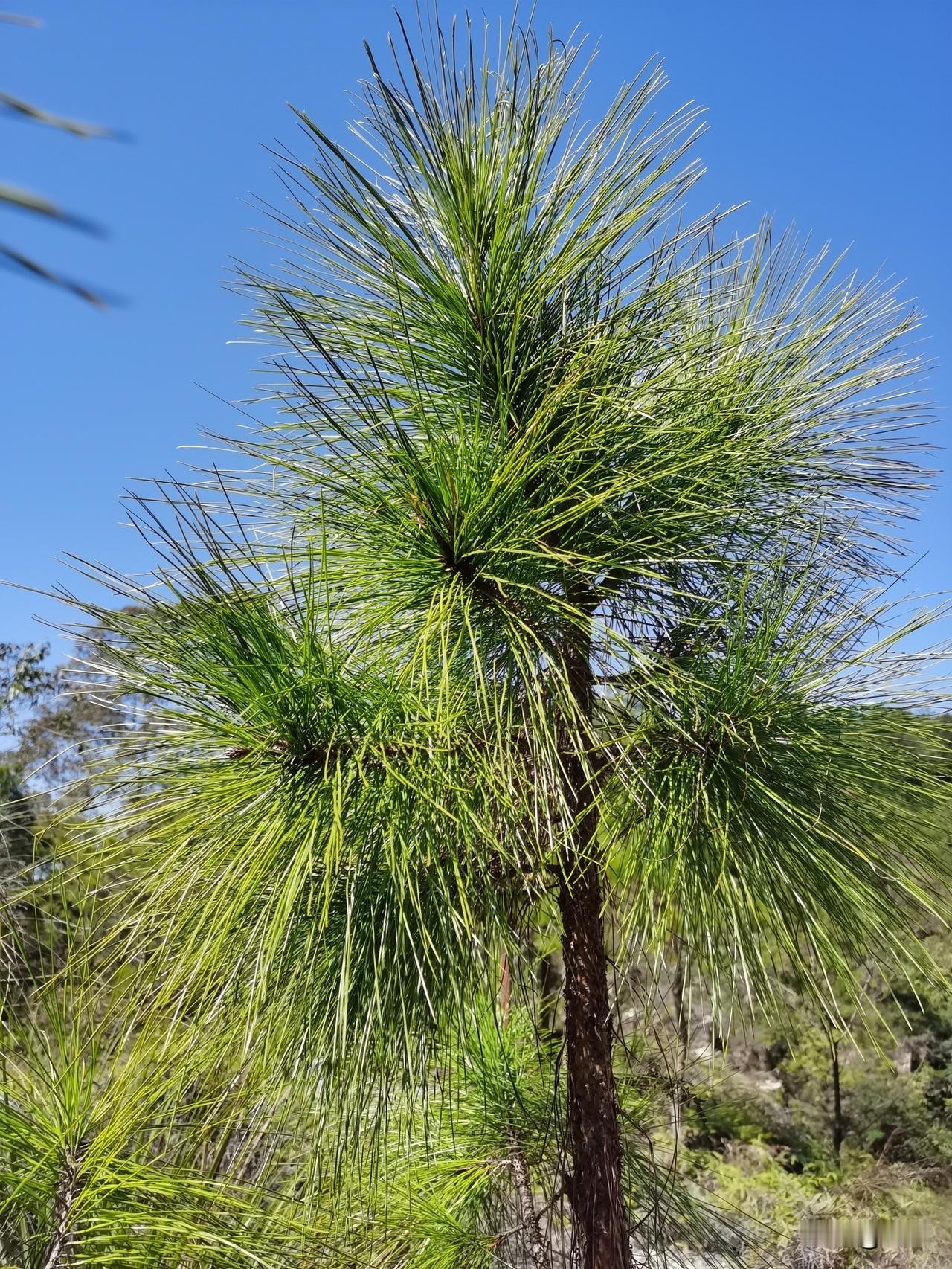 阅读分享：
曾国藩曾经写1500多封家信反复强调“不可有余财”，并批评兄弟置产奢