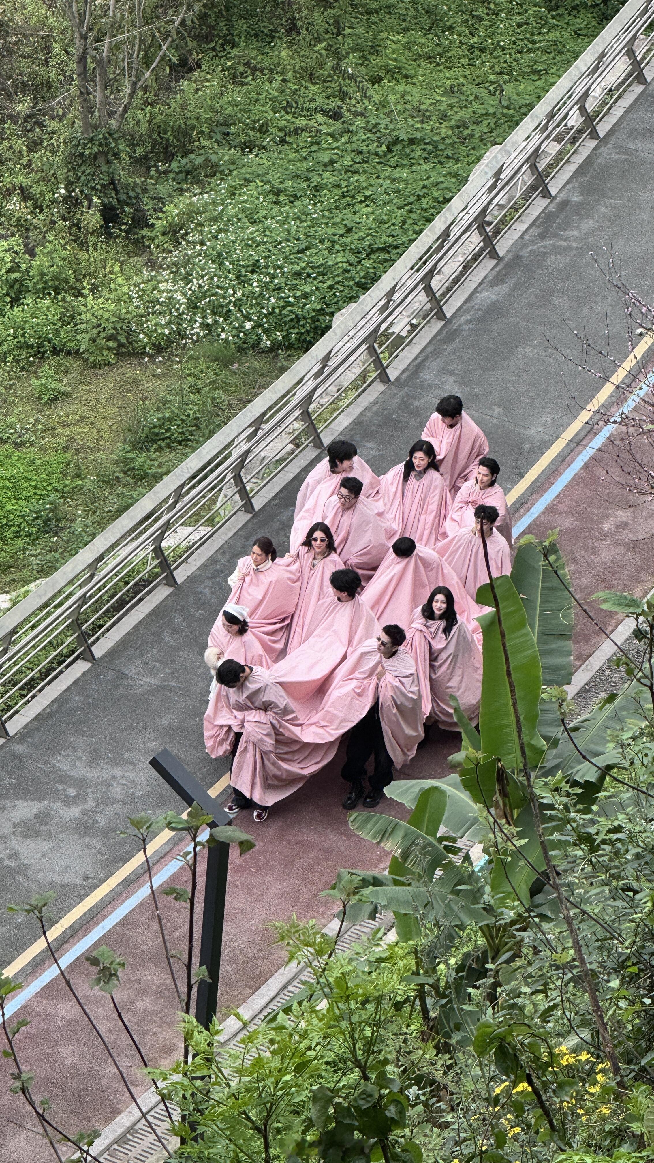 👀可可爱爱的大家庭 五十公里桃花坞‖ 