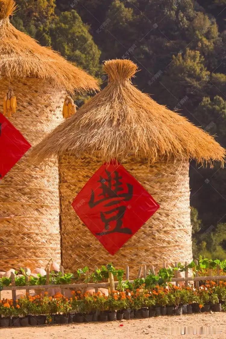 农村最缺人才！缺乏一心奉献“三农”伟业——农村、农业、农民——的专门型人才！
