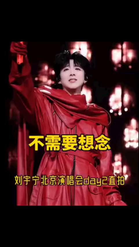 不需要想念，刘宇宁北京演唱会day2直拍。
