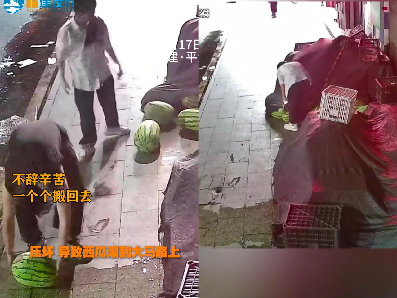 太意外了！福建一老板早上瞧见盖西瓜的篷布开了，还以为遭人捣乱，赶紧去看监控，结果