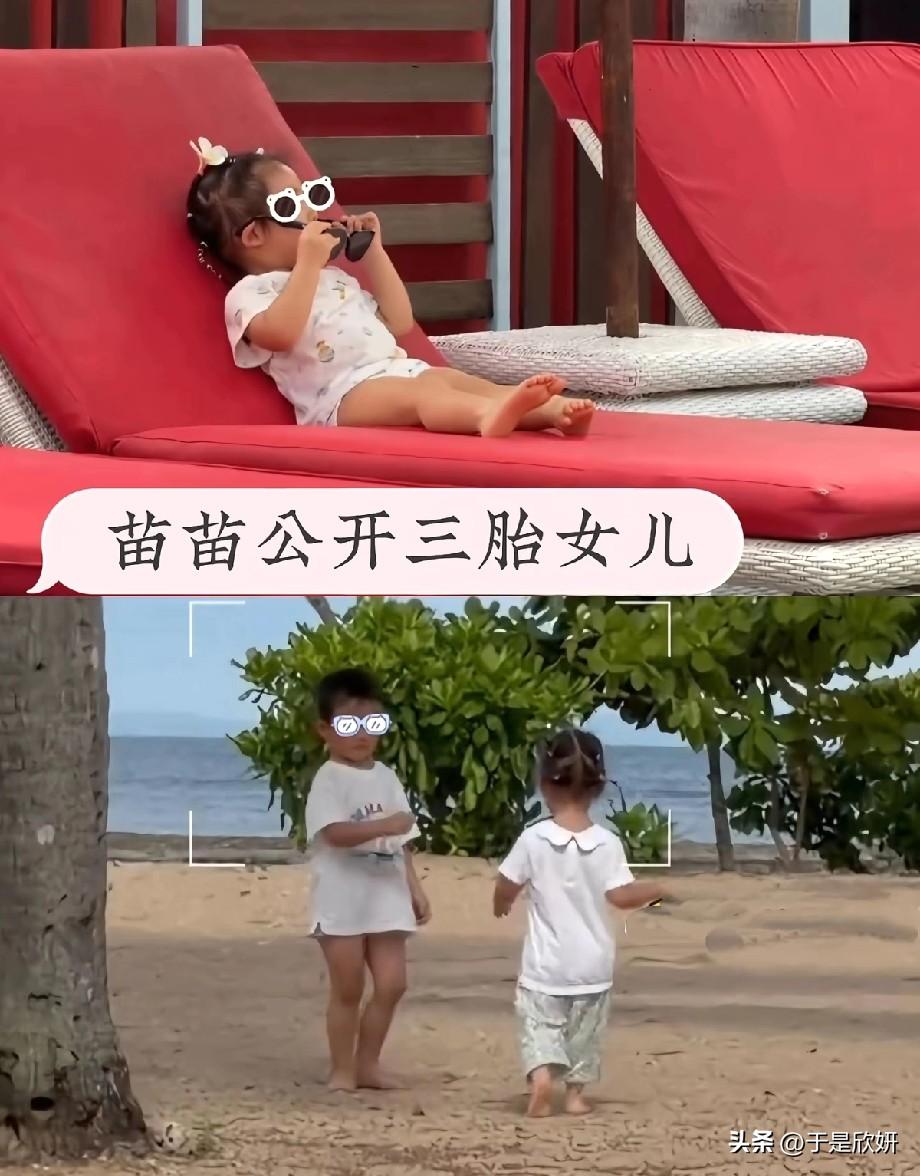 等了快3年，苗苗和郑恺家那个“传说中的三胎女儿”，终于大大方方露脸了！
 
3月