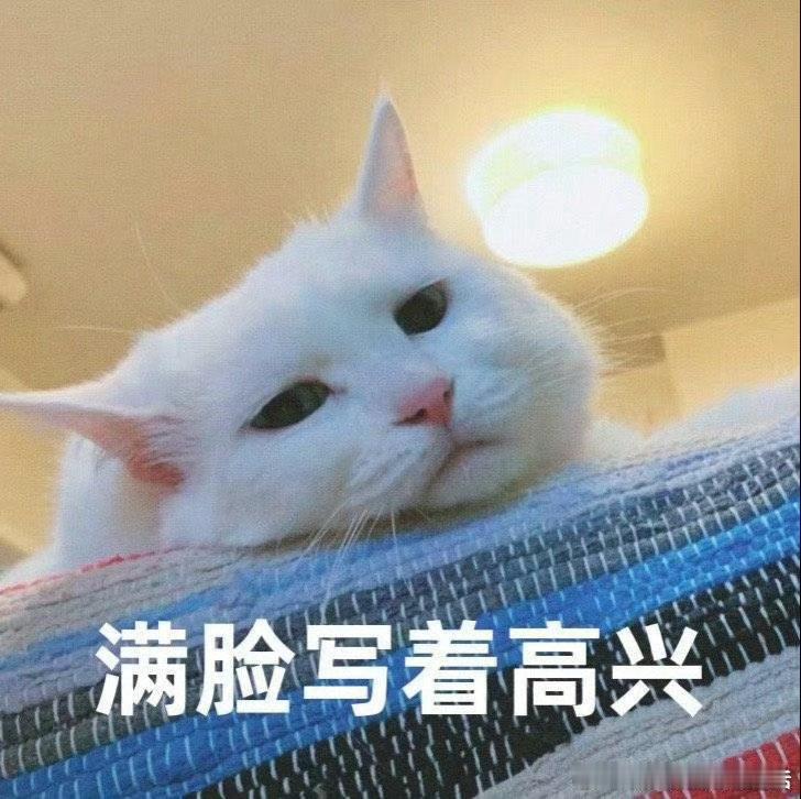 现在早上运动太难受了，要喷很多很多的驱蚊水，一出汗就糊身上了，洗了澡也还是觉得不