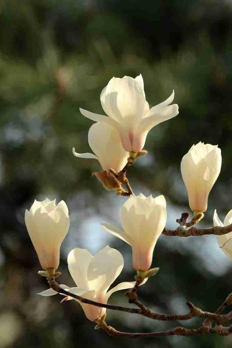 我的今日状态：😁轻松愉快
我这里的天气：☁️阴天