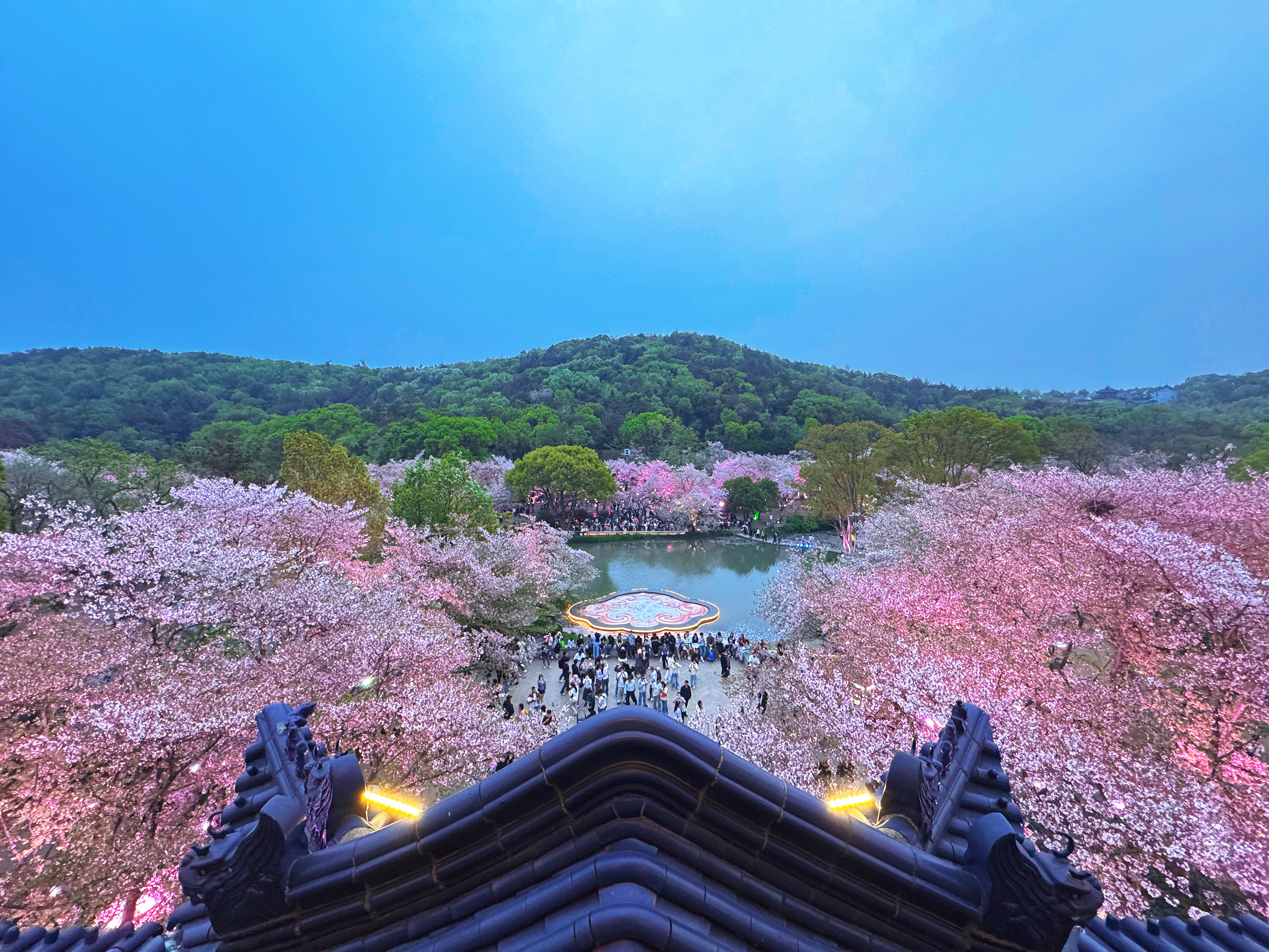 鼋头渚 赏樱台 一眼万年 无锡·鼋头渚