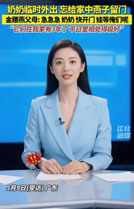“太有灵性了！”5月8日广东，奶奶出门忘给家里的燕子留门。没想到，燕子的父母急得