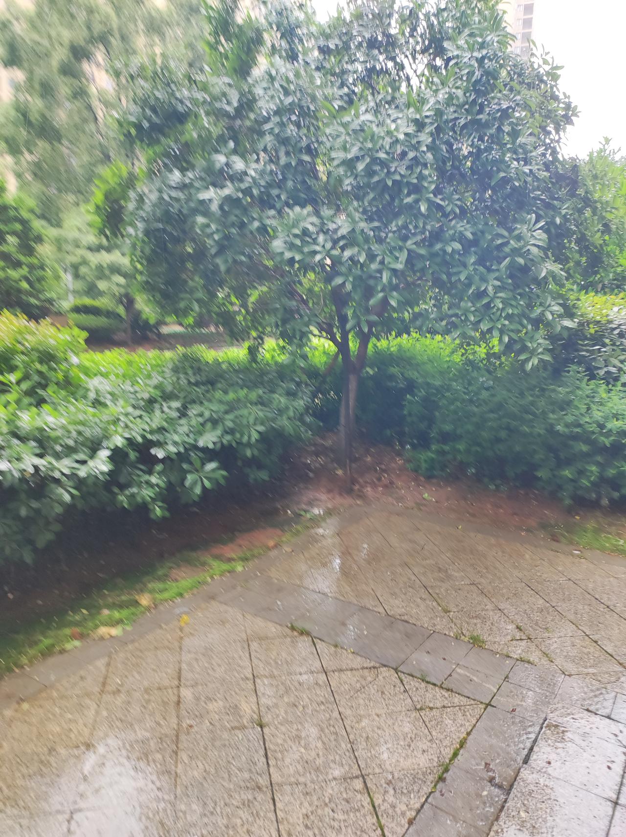 南昌又开启了下雨模式！
从前天夜里开始，断断续续地下了两天两夜了！
路道的低洼处