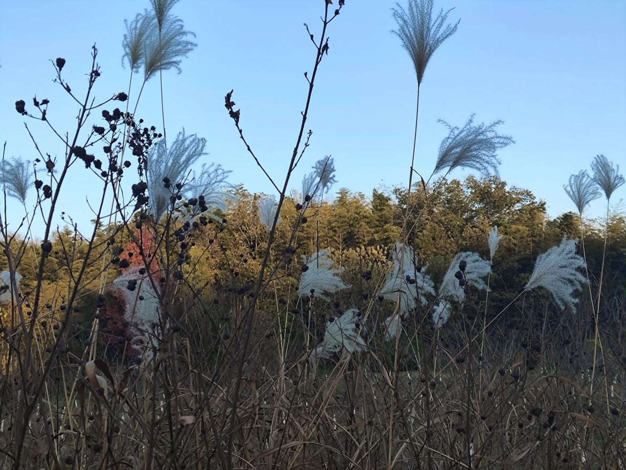 对下联原创
温酒说古今。