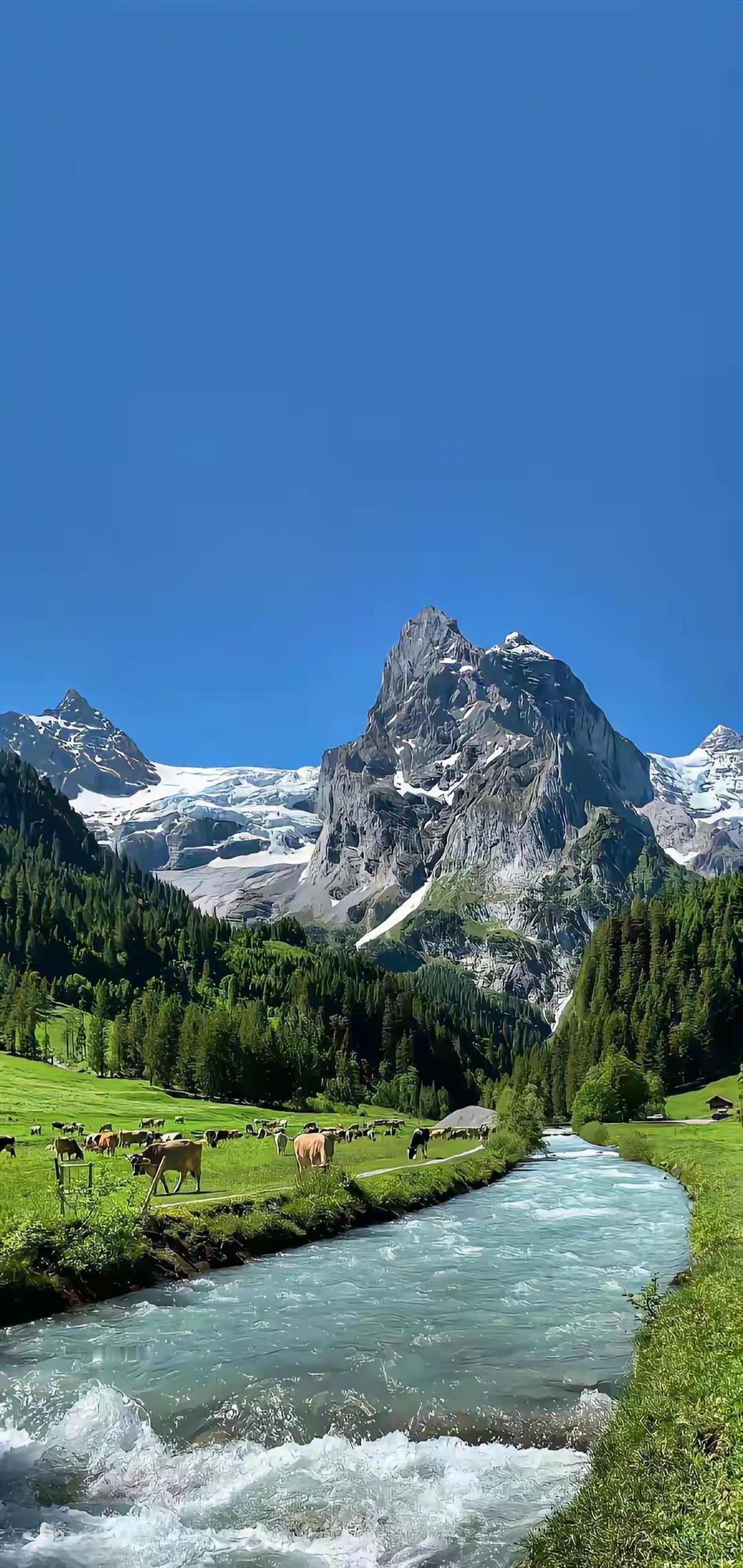 动物笑话
小蚂蚁迷路找不到蚁窝，可着急了，恰好看到它的朋友经过，于是冲过去大喊一