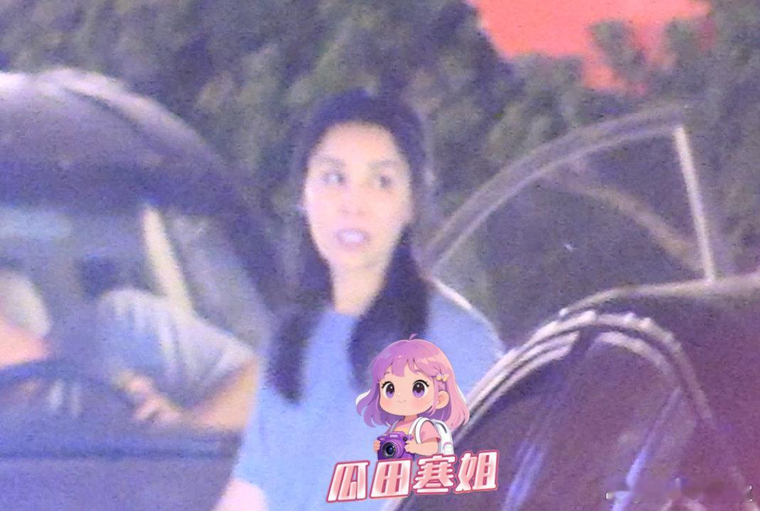 那英和友人聚餐那英和友人击掌告别 7月3日，有媒体拍到那英与友人聚餐，那英身穿蓝