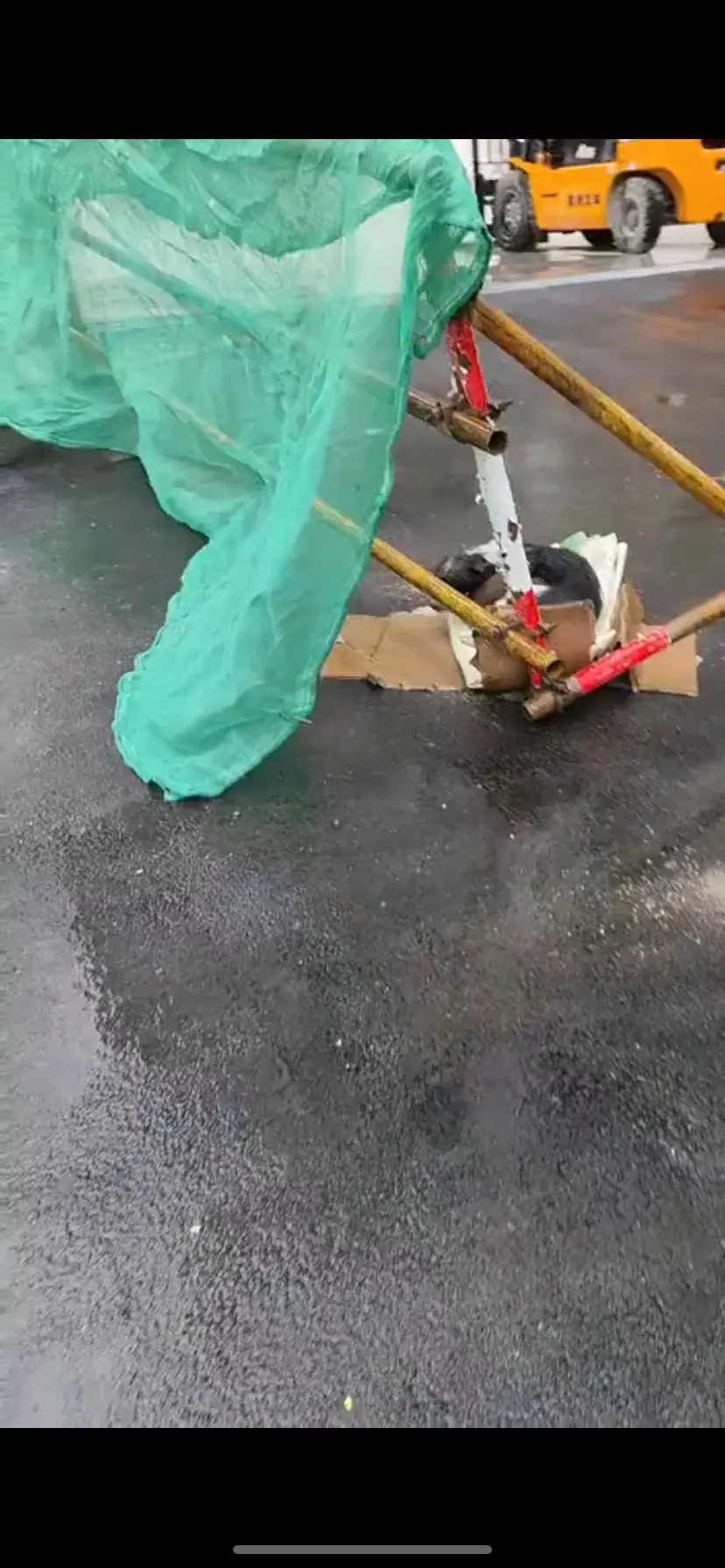 狗妈妈和孩子都淋湿啦冷的一直在发抖太难了💔💔🥹🥹🥹