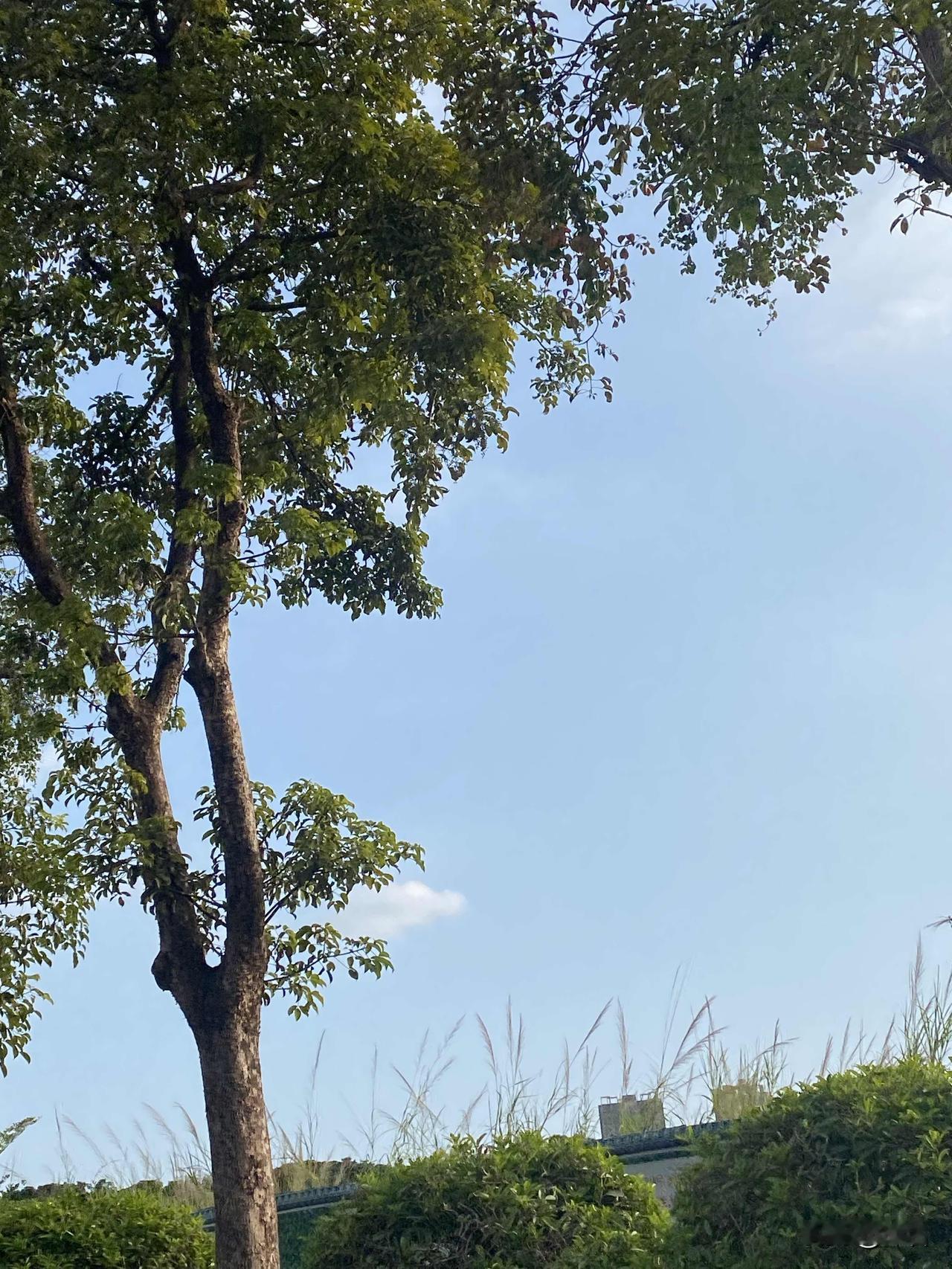 今天下班路上，晚风温柔，落日也温柔。
褪去一天忙碌与疲惫，不必追赶匆忙，慢慢走着