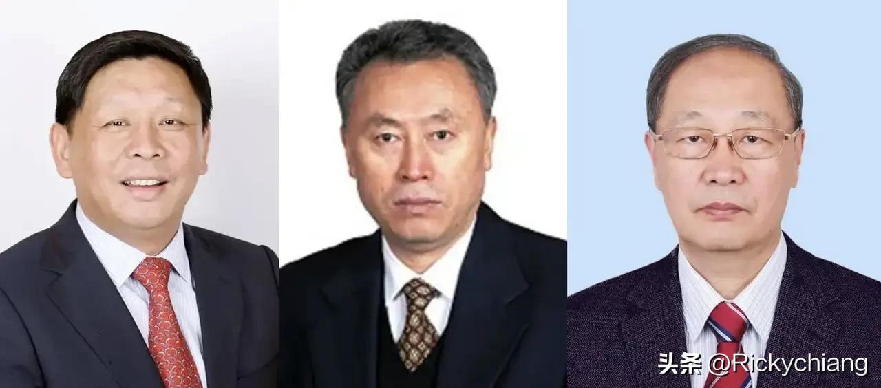 撤下来的三名院士基本背景：

吴曼青：信息与电子工程专家，曾任中国工程院副院长、