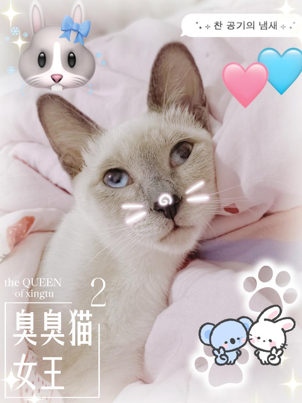 4080只黑脸高p碧落 