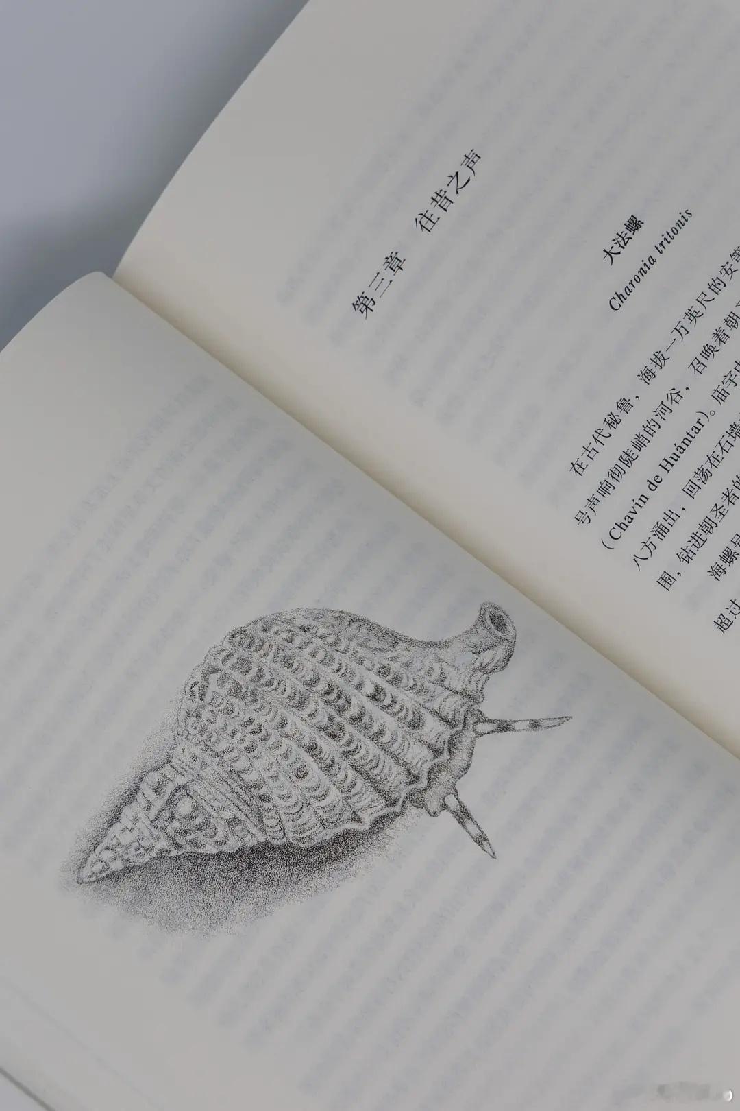 知書club 前言丨这些软体动物制造的贝壳比居住在其中的柔软生命要出名得多。软体