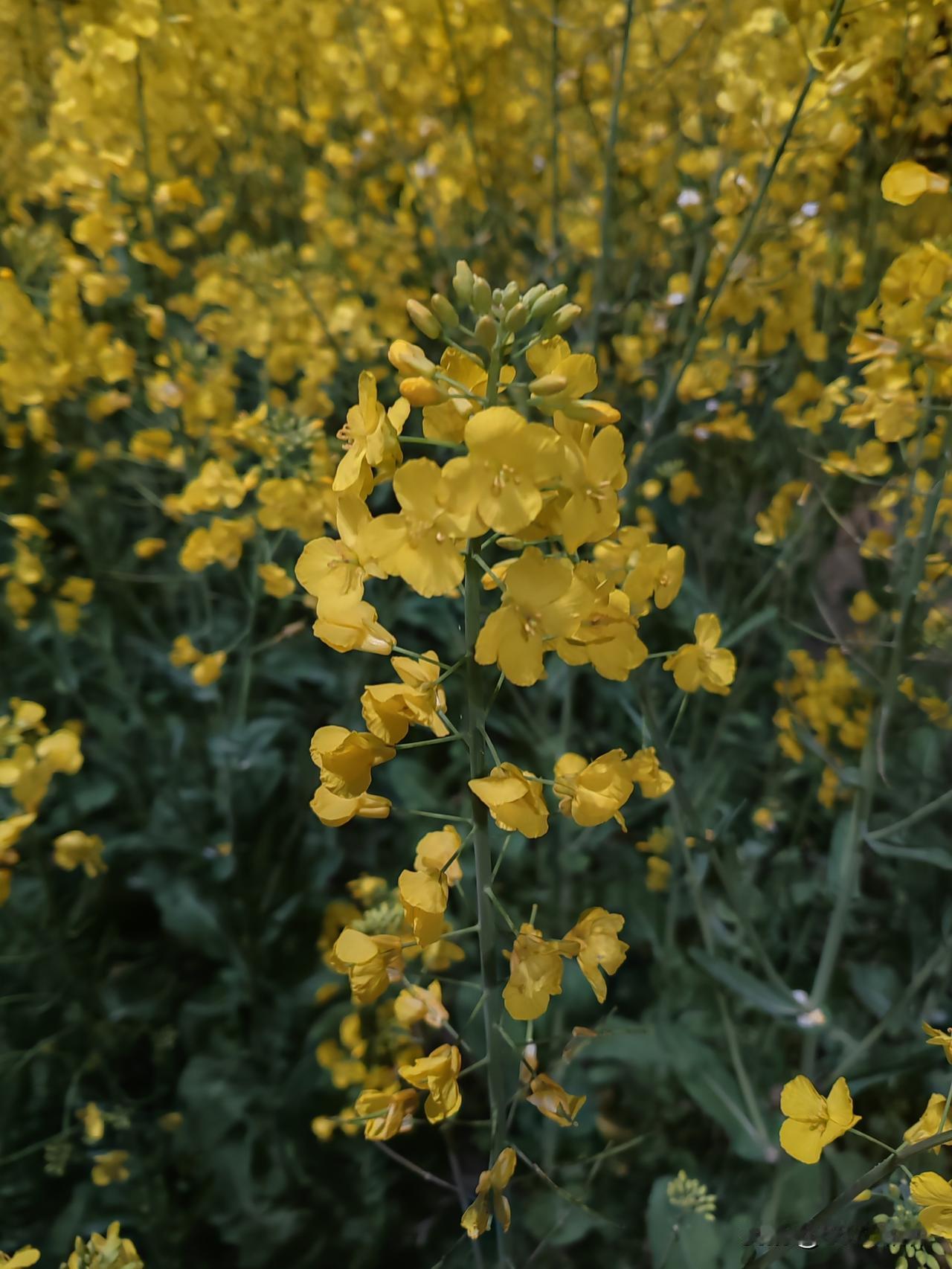 人到晚年，少管闲事少操心，守住这几点，全家都幸福！

人这一辈子，忙忙碌碌大半辈