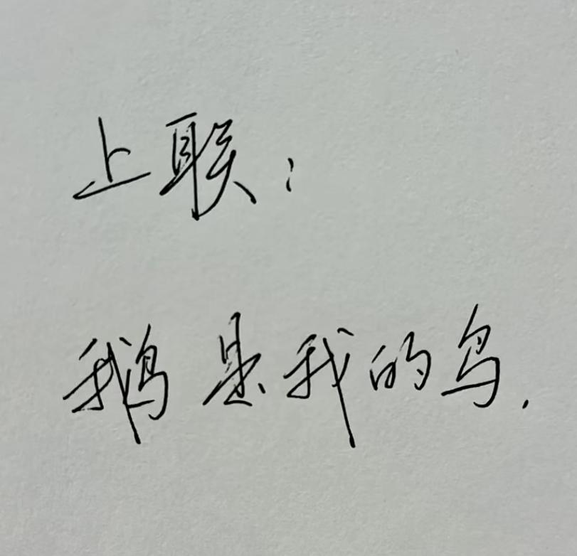 趣味对对联，上联：鹅是我的鸟
才华横溢的你请对下联。