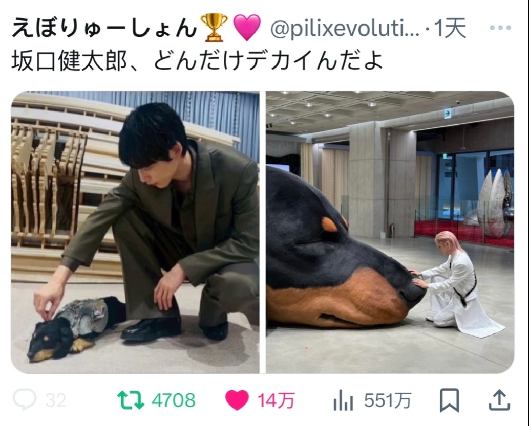 最近的烦恼是太火了 ​​​
