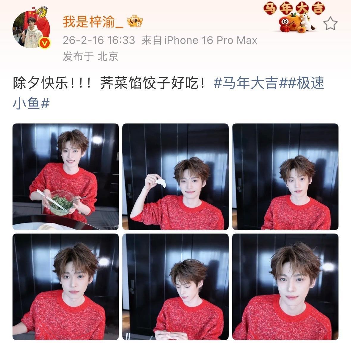 梓渝祝除夕快乐梓渝说荠菜饺子好吃可可爱爱没有脑袋