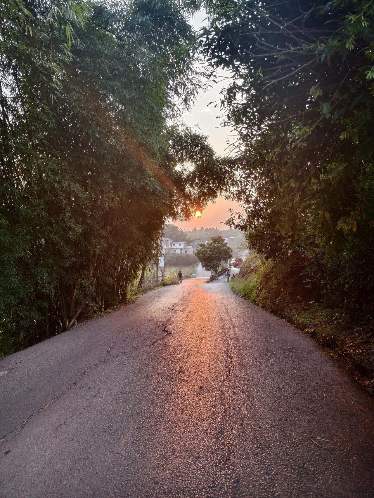 最美夕阳
       ——南木子
最美夕阳在老家，
竹叶遮挡似幅画。
一条公路