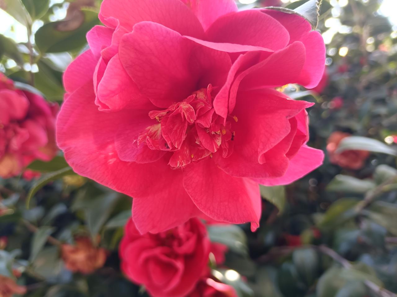 解放军：统一是正道大势