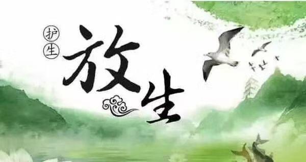 畜生道的众生受三皈依有什么好处？

在佛教教义中，为畜生道众生受三皈依被认为有以