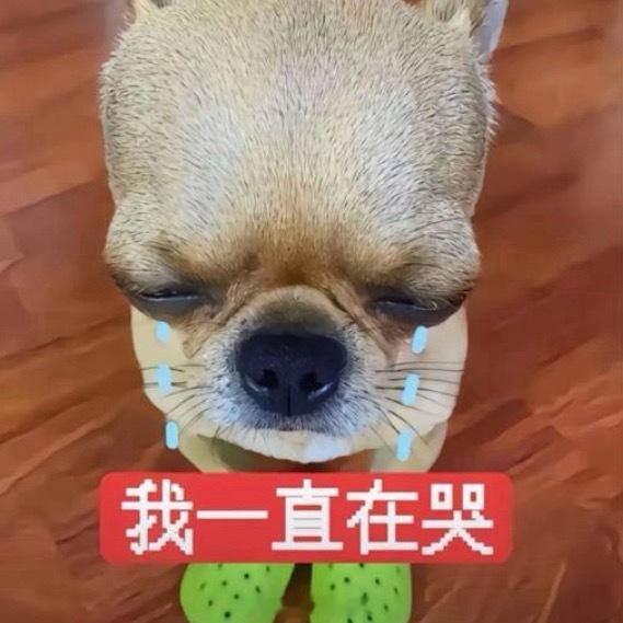 唉不行了 看这小蜘蛛我一直在哭。。。。爱情友情亲情都哭了一遍 