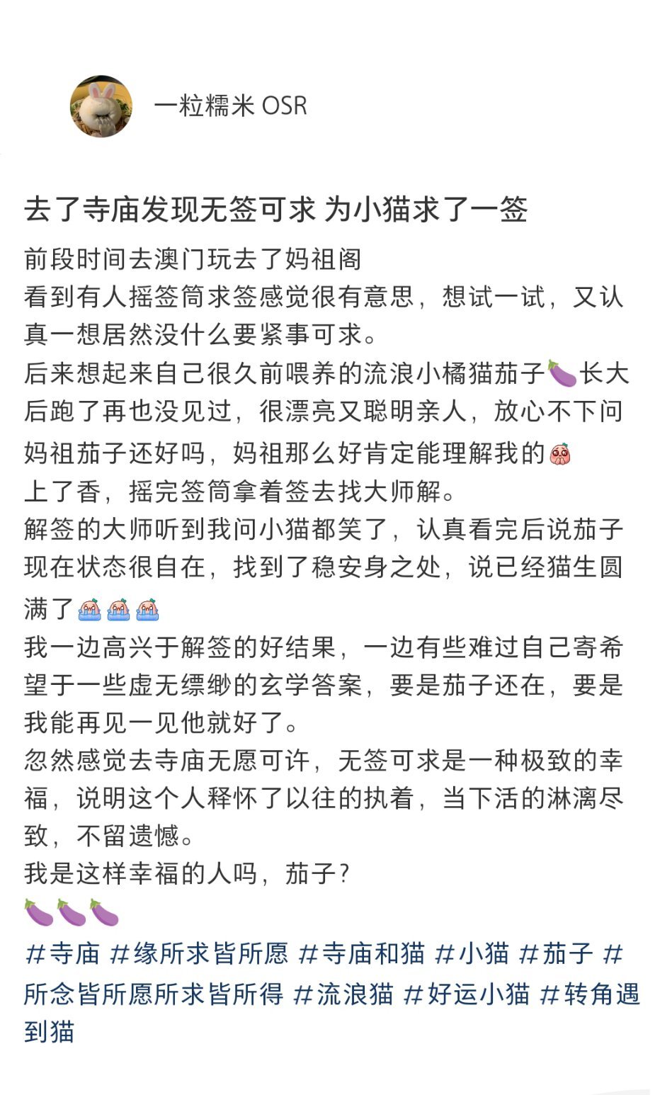 去了寺庙发现无签可求为小猫求了一签 