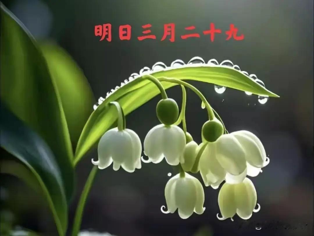 明日三月廿九“成日”，记得1不动、2不穿、3不成、4要吃、5要做
 
明天是农历