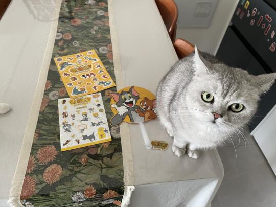 猫和老鼠奶酪日礼包～