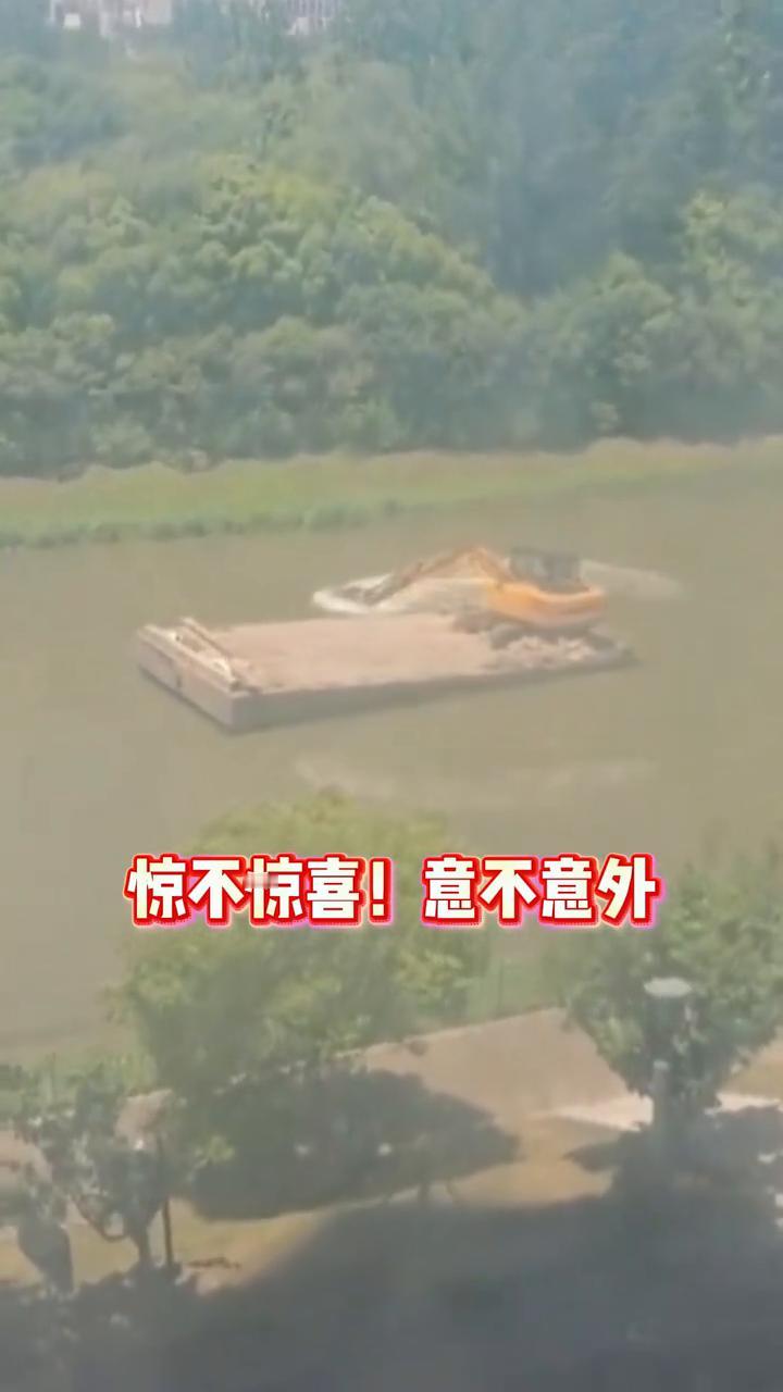 惊不惊喜！意不意外？