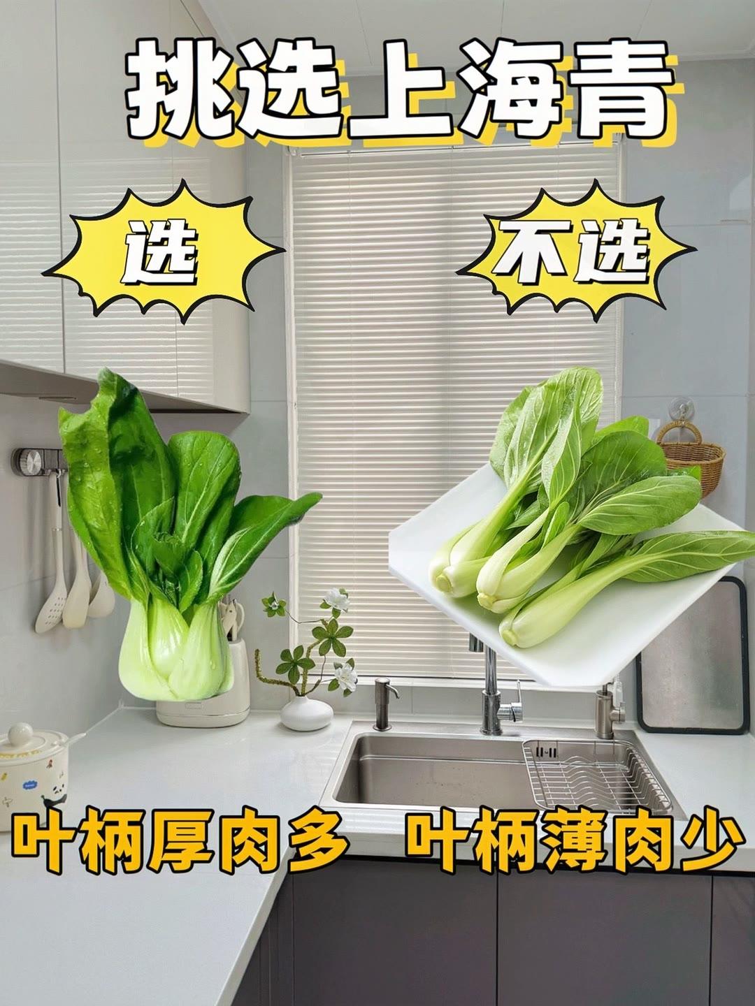 让快看看你有没有选对呢 生活小技巧  买菜小窍门 热门生活小常识买菜挑选小技巧 