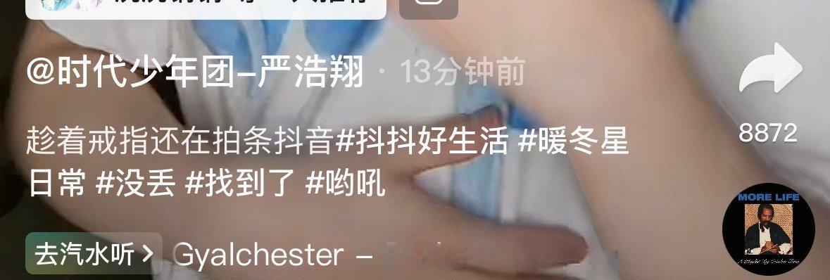 “没丢” “找到了” “哟吼” 这个小男孩好臭屁 