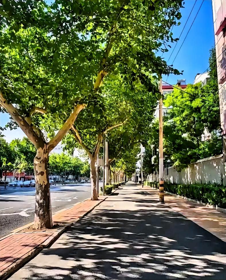 提前通知，提醒大家做好心理准备，3天后，也就是8月7号晚上19点43分就正式立秋