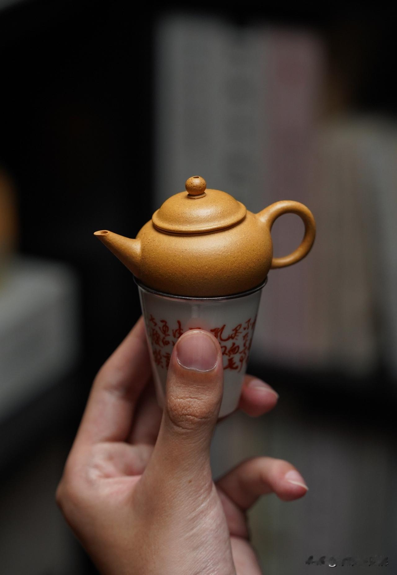 壶底那道刮痕，真能定真假？
做壶这么多年，最怕新手朋友拿着壶翻来覆去看内壁，然后