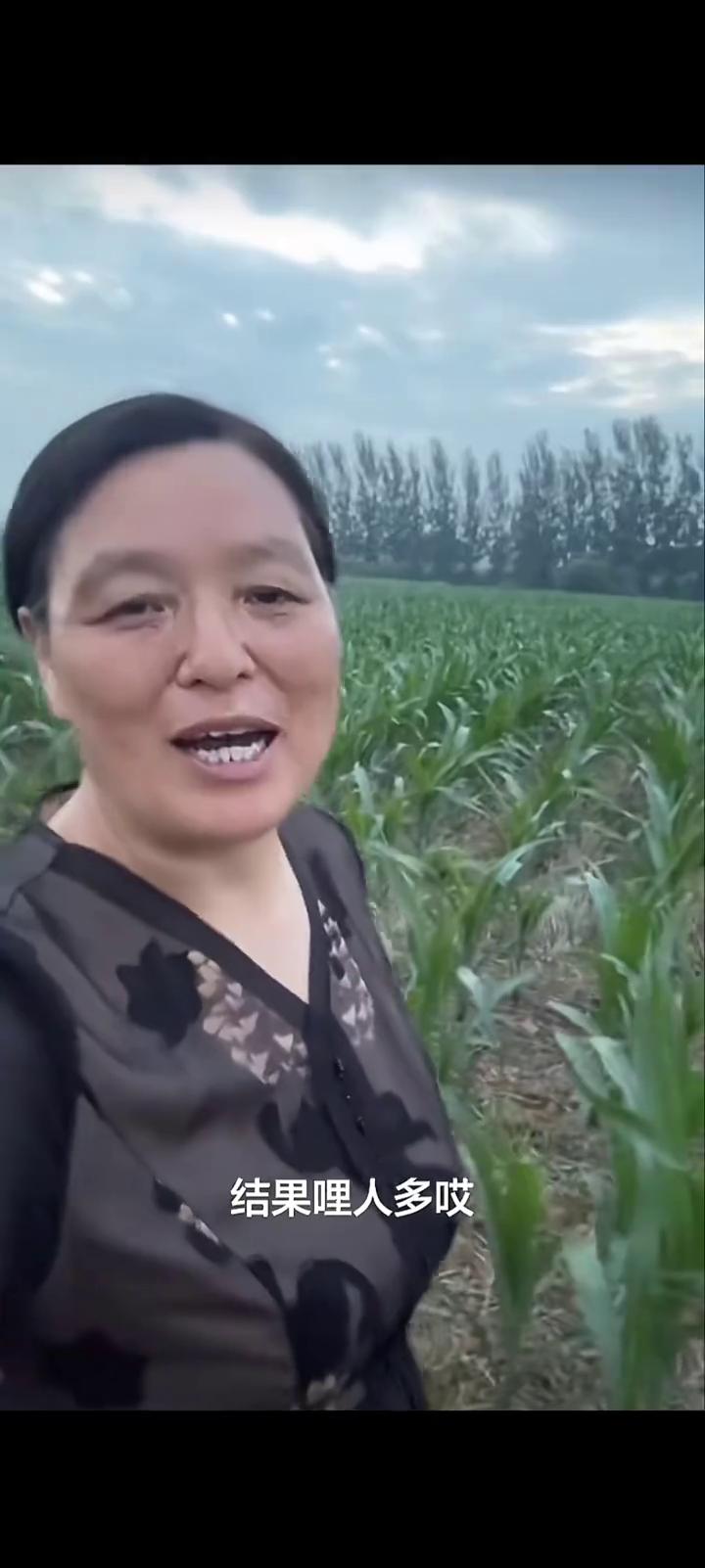 今天黑了，我还在地里。其实今天我也没有上地干活，今天不带劲，吃了早饭我都进城了，