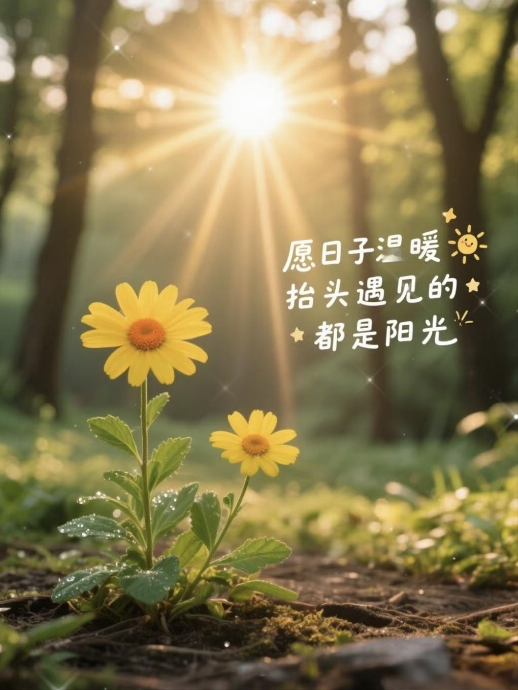 “适合早上发的，暖心励志早安句子”
1.♡ᴹᴼᴿᴺᴵᴺᴳ 🌼 ᵕ̈ 🌼
不迷