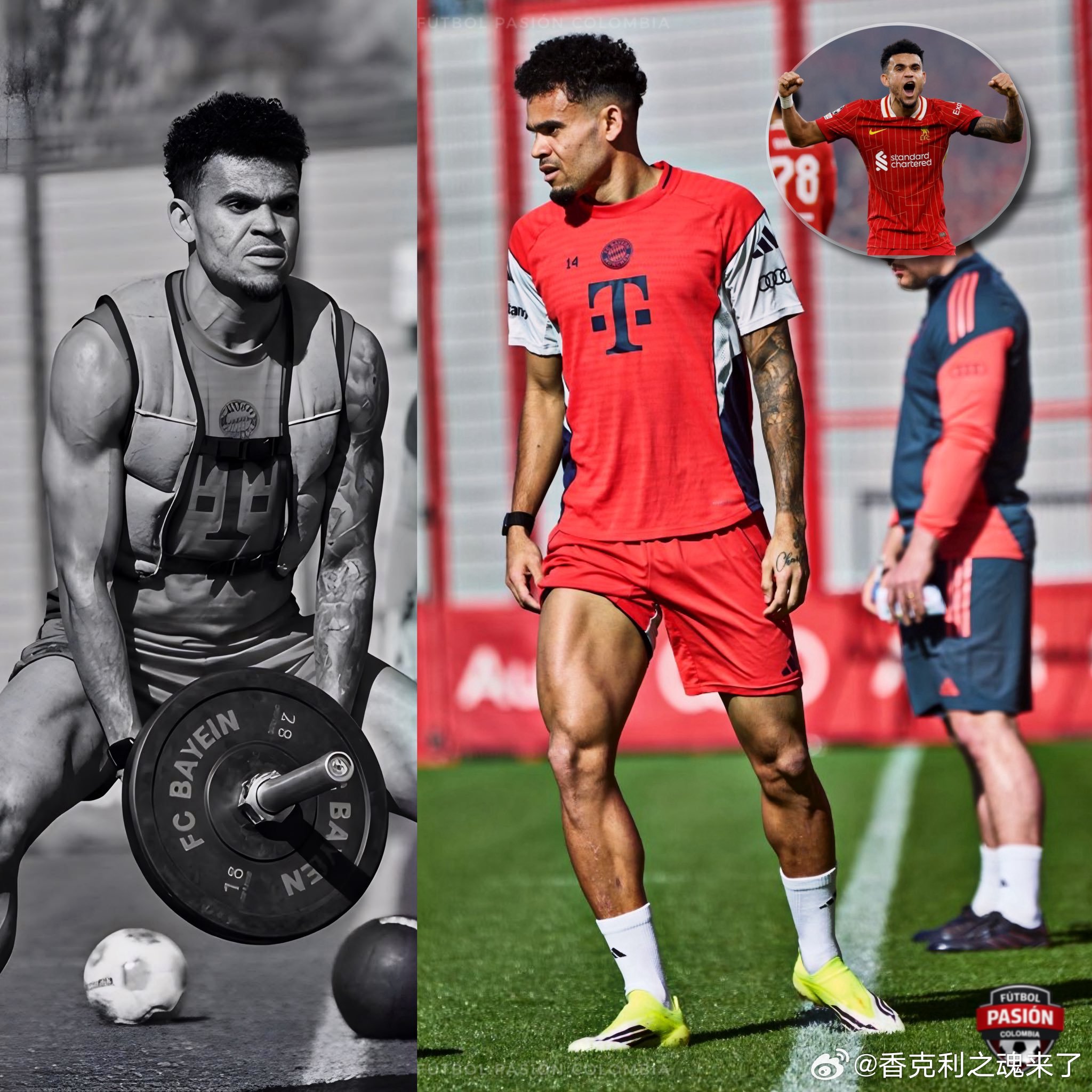 迪亚斯新版本拜仁拥有世界上最好的增肌训练计划之一，而迪亚斯已经展现出了惊人的体型