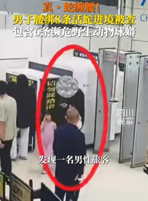 头皮发麻！5月29日四川观察报道，深圳湾海关，一名男性旅客进境时全程没做任何申报