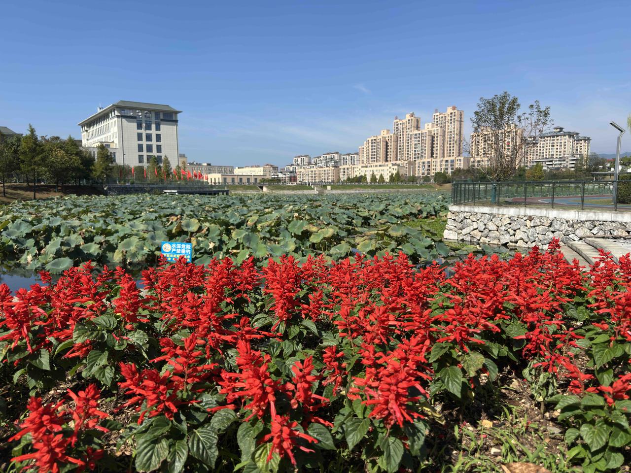 我平时买菜更喜爱去农贸市场，去农贸市场买菜，就好像在乡下赶集，售卖的大多是农户种